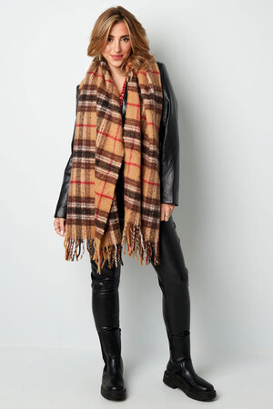 Scarf colorful check - brown h5 Picture3